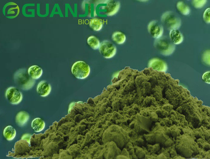 Chlorella powder bulk Chlorella powder bulk