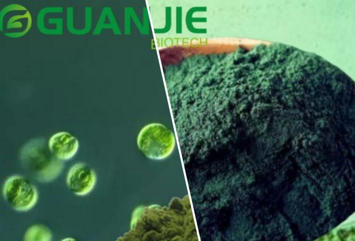 Is Chlorella Powder The Same As Spirulina Powder Is Chlorella Powder The Same As Spirulina Powder